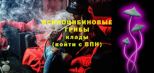 твердый Верхний Тагил